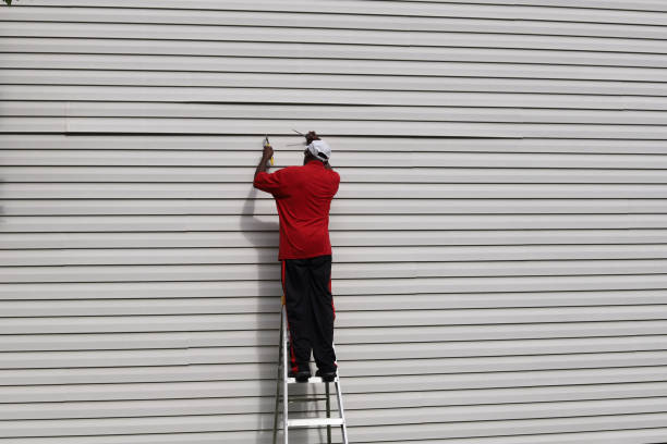 Affordable Siding Repair and Maintenance Services in Mason City, IL