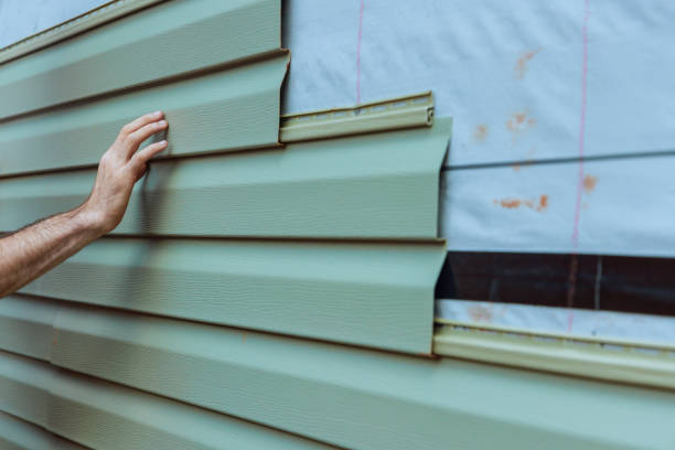 Best Stone Veneer Siding  in Mason City, IL